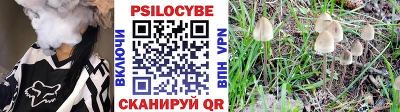 наркота  Верхний Уфалей  Галлюциногенные грибы GOLDEN TEACHER 